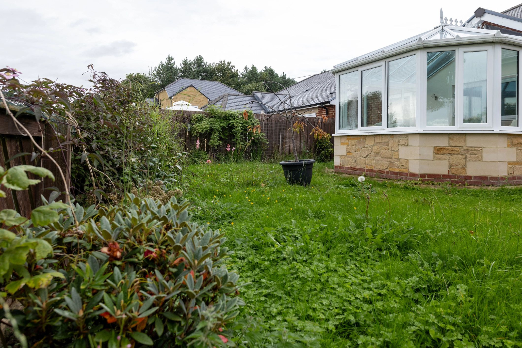 Natural outdoor image for project scope terms section