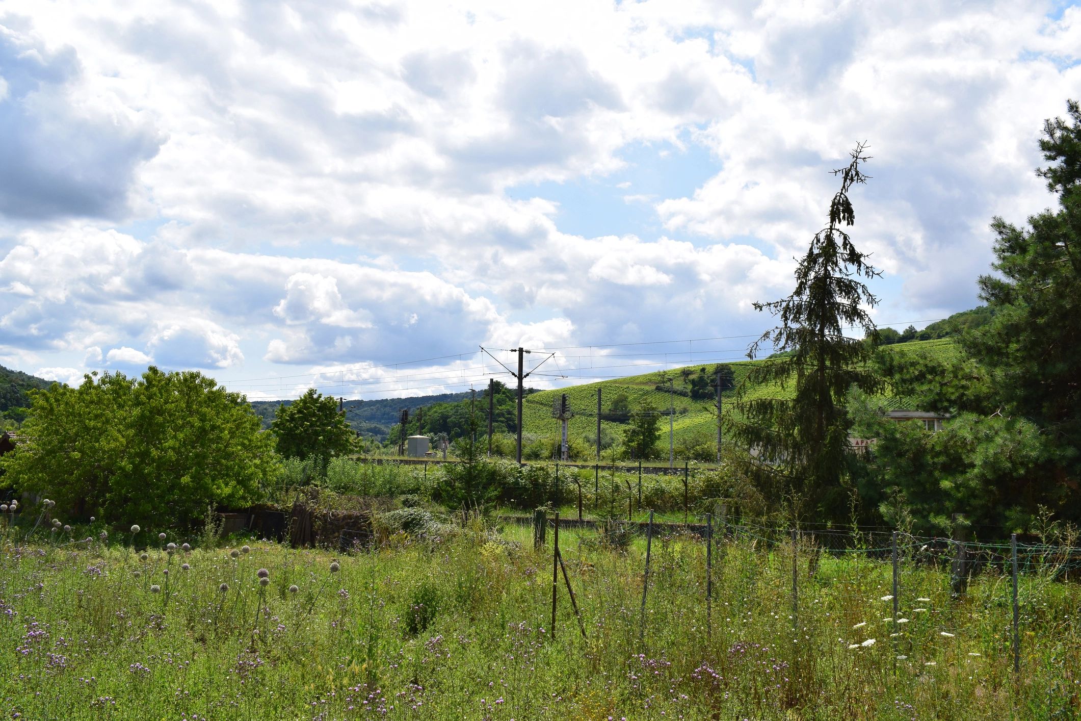 Countryside landscape representing delivery and siting context