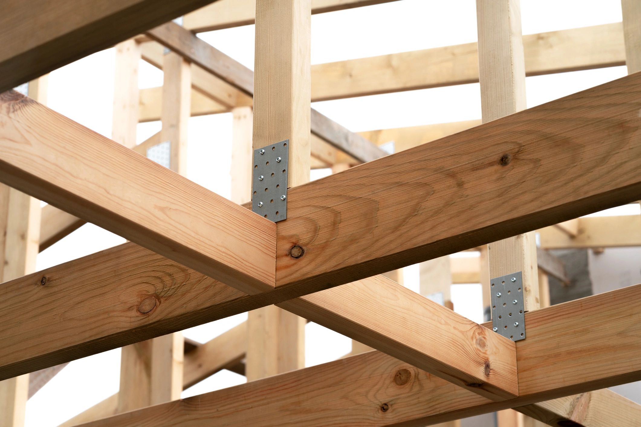 Timber roof structure and build detail