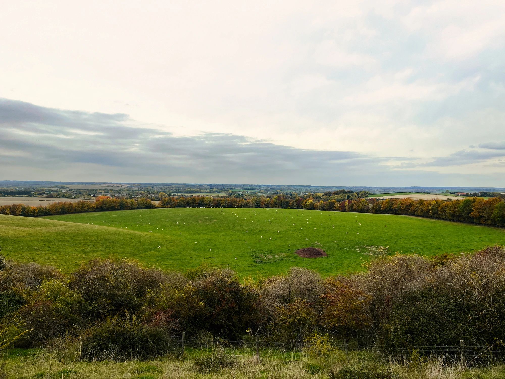 English hillside landscape for consultation section
